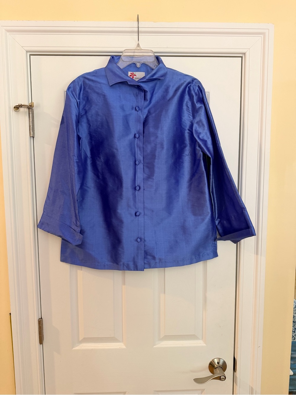 Ladies Size Medium "Indo-Chic" 100% SILK Button Front Shirt in Bright Blue GUC